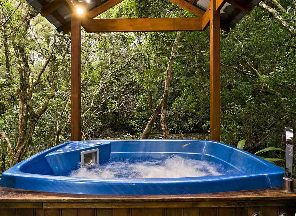 Luxury Rainforest Spa Stream Chalet The Mouses House Rainforest