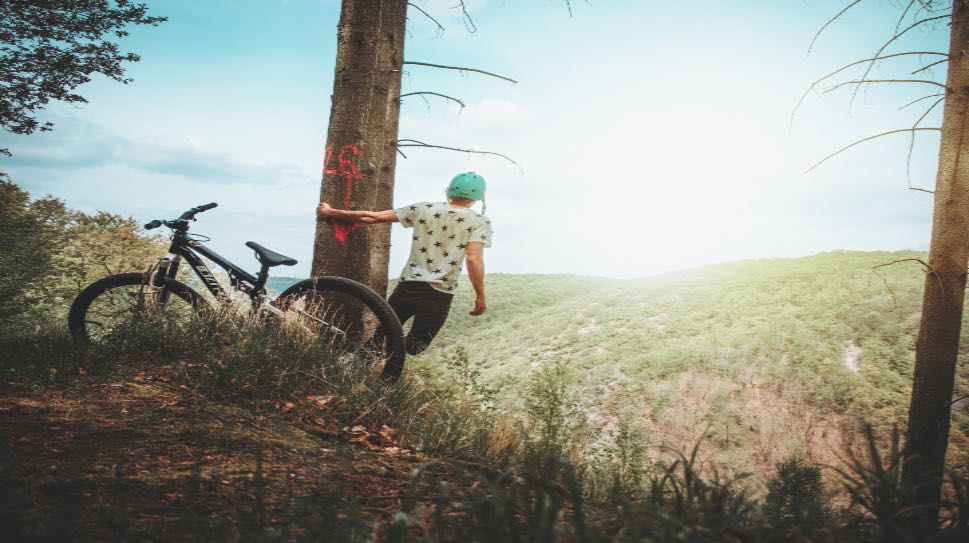 Mountain Biking Springbrook Hinterland