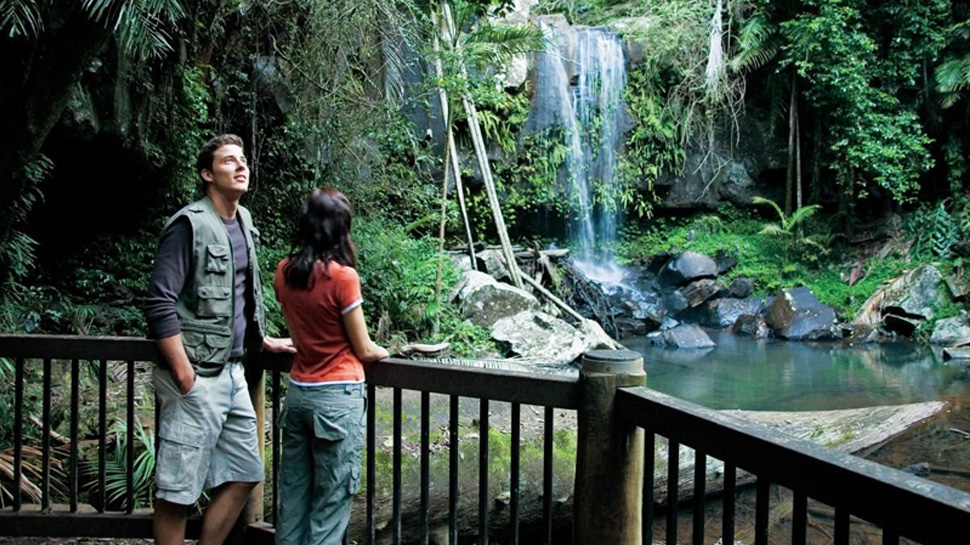 Springbrook Waterfalls Gold Coast Hinterland