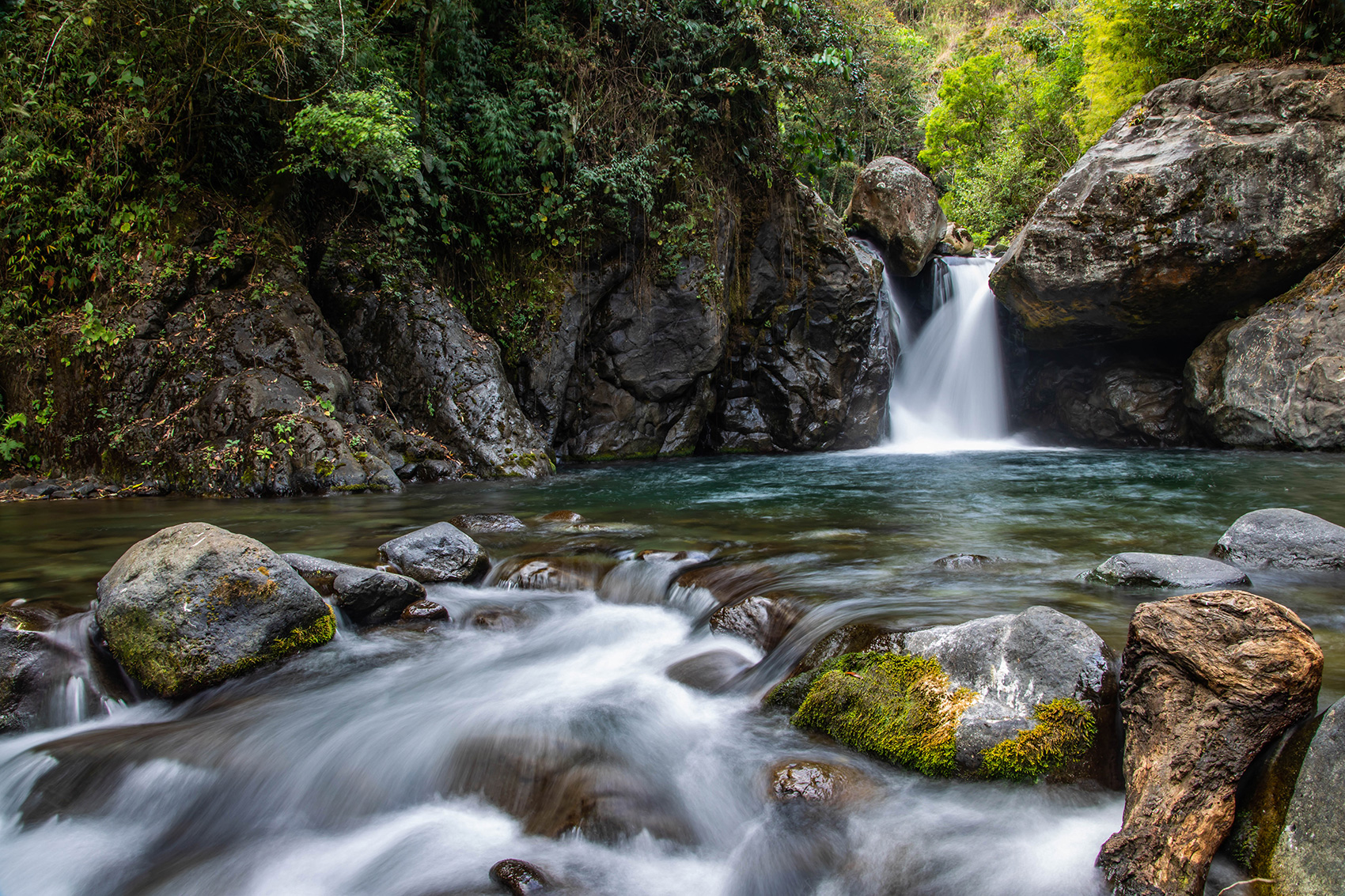 Gold Coast Hinterland Waterfall