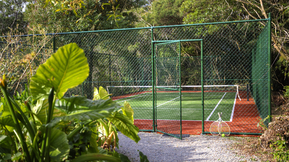 Tennis Courts Springbrook